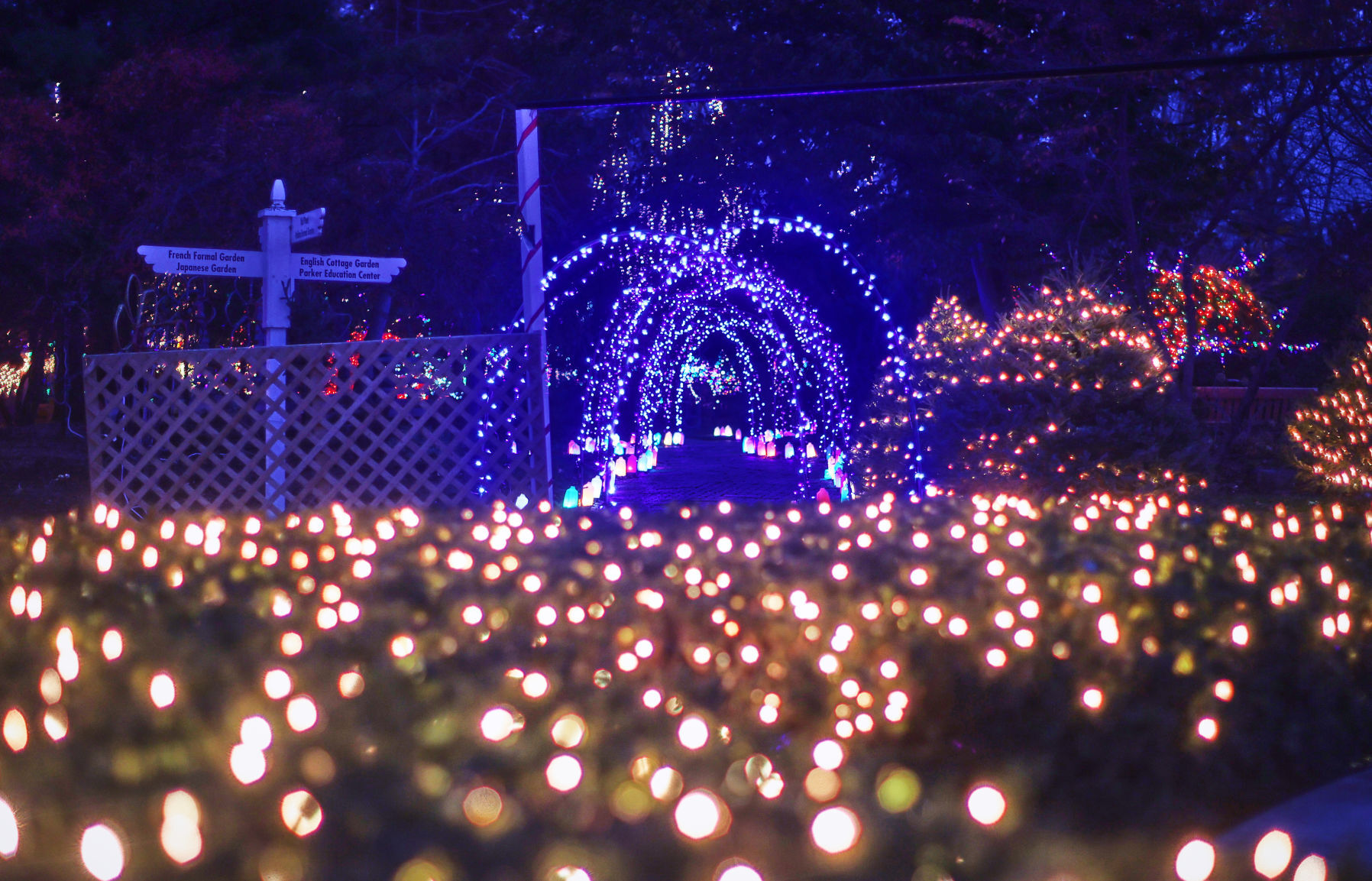 JVG_211121_LIGHTS06